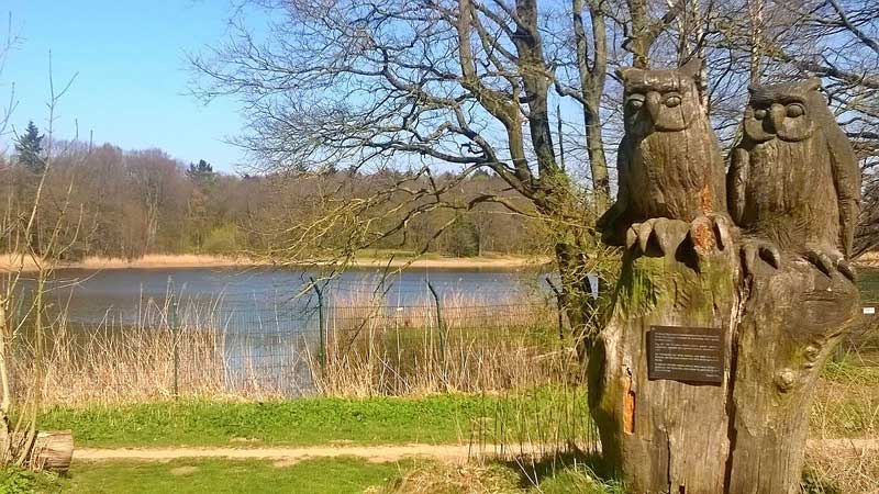 Bredenbeker Teich bei Ahrensburg – Naturbad mit Sandstrand und Erholung