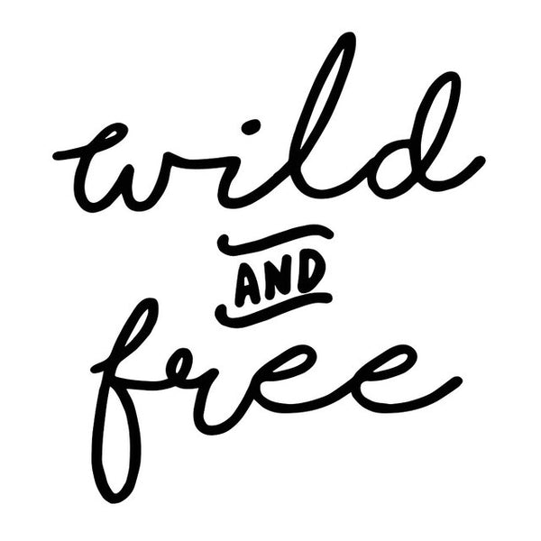 Autoaufkleber Wild & Free für Vans und Camper - 3