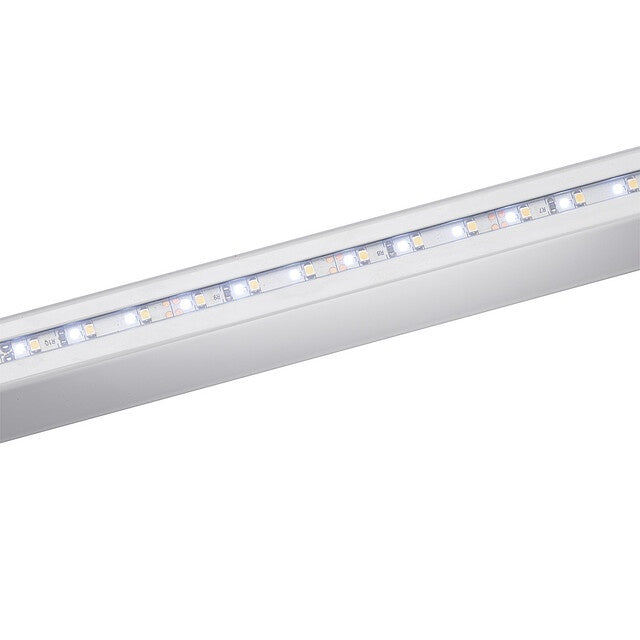 Dometic RainTec TR 100 LED Regenrinne 150 cm