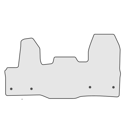 Fahrzeugmatten Ford Custom Nadelfilz