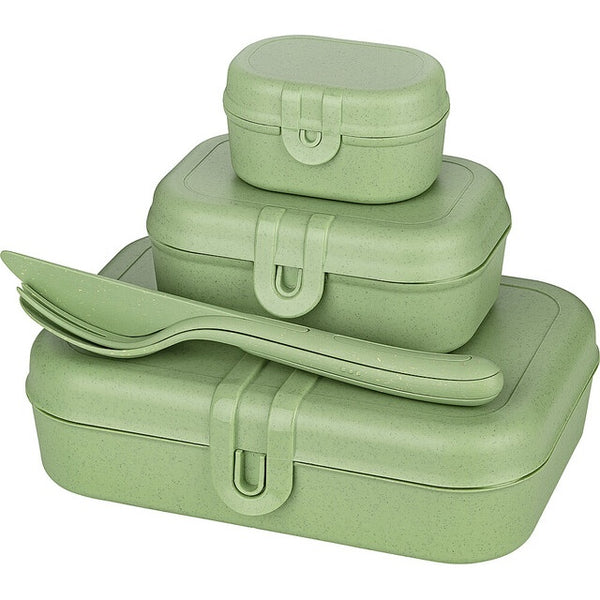 Lunchbox PASCAL READY 4er-Set nature leaf green - 4