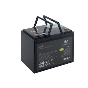 Mobilität Lithium Batterie 50 Ah + c-Go 10 A