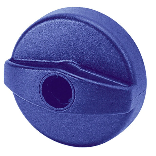 Tankdeckelverschluss blau für Frischwasser bei STS Oberholz